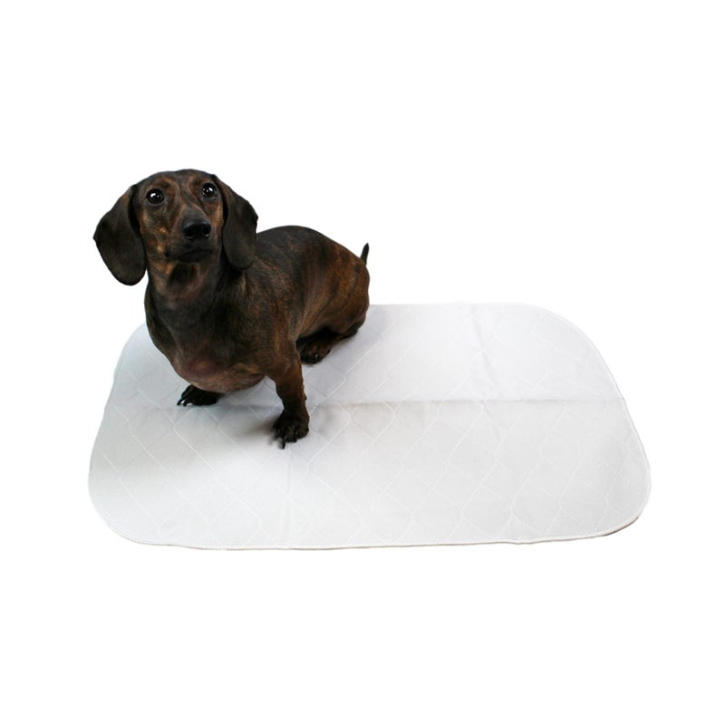 Midlee Reusable Washable Dog Training Pads Pack of 3 (15" x 23") - Image 1